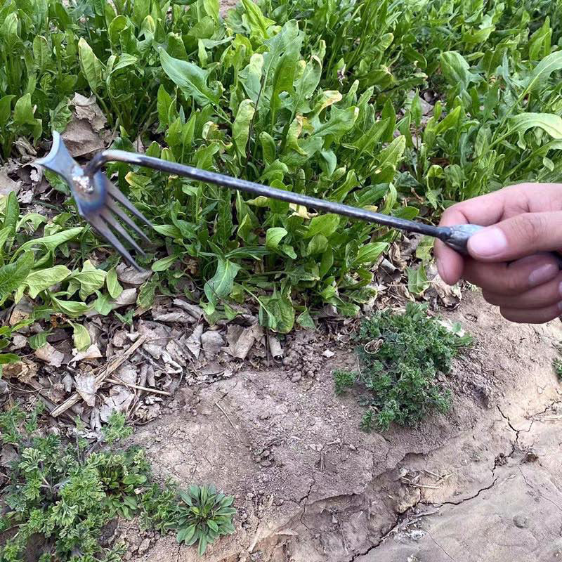 50% OFF | WeedMaster™-Sturdy Manganese Steel Hand Weeder